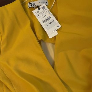 Zara NWT Dress Size L